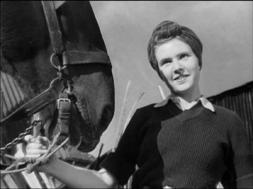 A Canterbury Tale Michael Powell Emeric Pressburger
