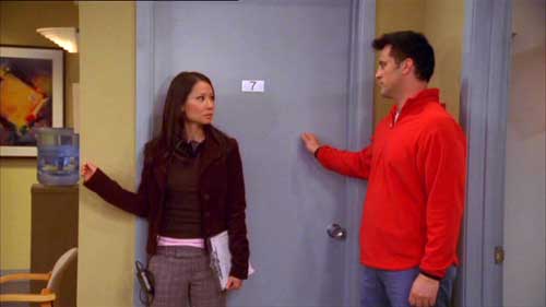 dvd joey