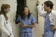 GREY'S ANATOMY - photos