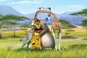 MADAGASCAR 2 - photos