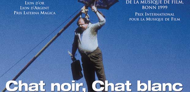 CHAT NOIR CHAT BLANC