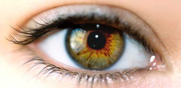 L'OEIL DES SERIES : ET ALORS, CES VACANCES ?