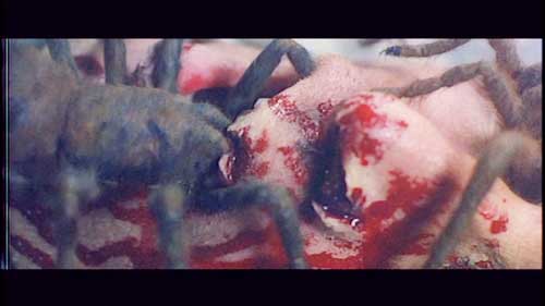 dvd frayeurs
