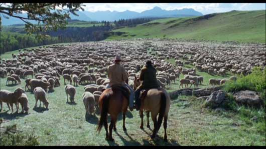 dvd brokeback mountain