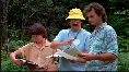 menus - Arr�te de ramer, t�es sur le sable ! - test dvd