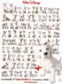 102 DALMATIENS