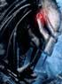 ALIENS VS PREDATOR REQUIEM : VISUEL DU DVD