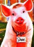 BABE, LE COCHON DANS LA VILLE