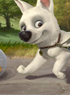 BOLT : PREMIERE BANDE ANNONCE !