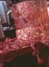 LE COIN DU CINEPHILE : BRAINDEAD