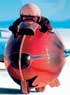 BURT MUNRO