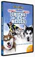CHIENS DES NEIGES