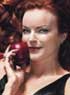 test DVD - DESPERATE HOUSEWIVES - SAISON 2