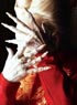 DRACULA - 15EME ANNIVERSAIRE