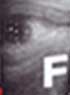FILM