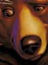 FRERE DES OURS
