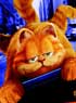 GARFIELD � LE FILM (COLLECTOR)