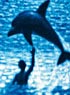 LE GRAND BLEU (BLU-RAY)