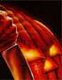DOSSIER HALLOWEEN : 20 FILMS APRES