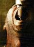 DOSSIER : FILMS INSPIRES DE FAITS DIVERS