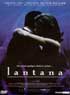 LANTANA