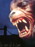 DU LOUP-GAROU POUR LA FOX