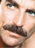 MAGNUM : LE FILM AVEC MATTHEW MCCONAUGHEY ?