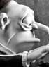 MARY ET MAX