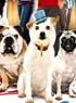 PALACE POUR CHIENS