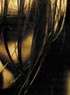 REC 2 : HURLEZ, VOUS SEREZ BIENTOT FILMES !