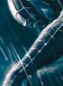 SPIDER-MAN 3 DVD & BLU-RAY : + D