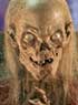 TALES FROM THE CRYPT SEASON 1