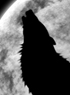 UNE SUITE A DANSE AVEC LES LOUPS ...